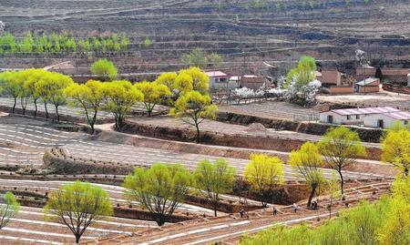 平凉静宁县高界镇发动社会各界广泛开展植树造林活动