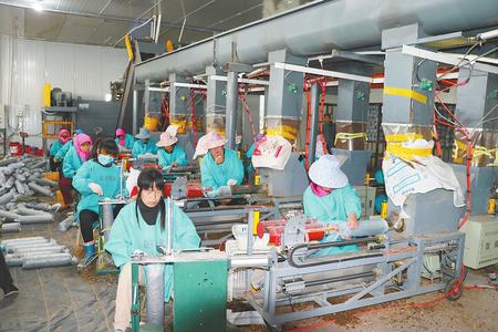 武威天祝县积极发展食用菌产业