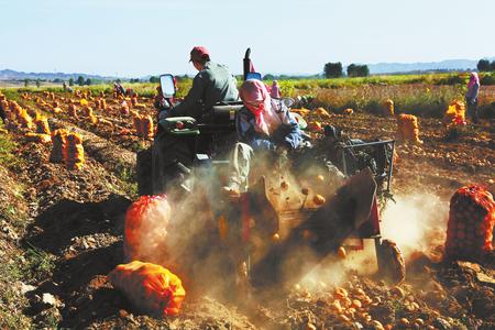武威凉州区大力推广农业机械化耕作