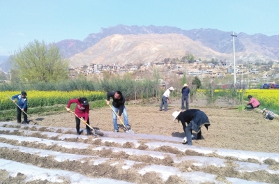 陇南武都区两水镇前村村民在种早玉米