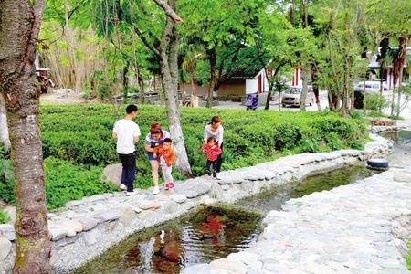  陇南文县依托优越的绿水青山自然资源优势全力打造宜居宜游美丽乡村