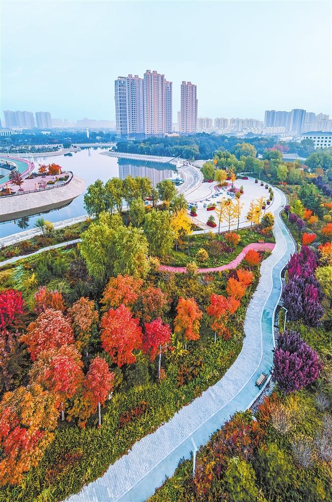 慶陽南湖濕地公園秋色滿園